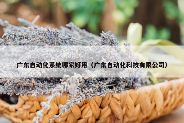 广东自动化系统哪家好用（广东自动化科技有限公司）