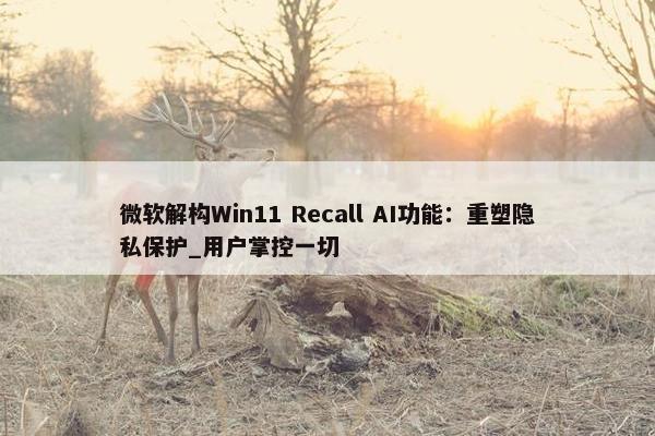 微软解构Win11 Recall AI功能：重塑隐私保护_用户掌控一切