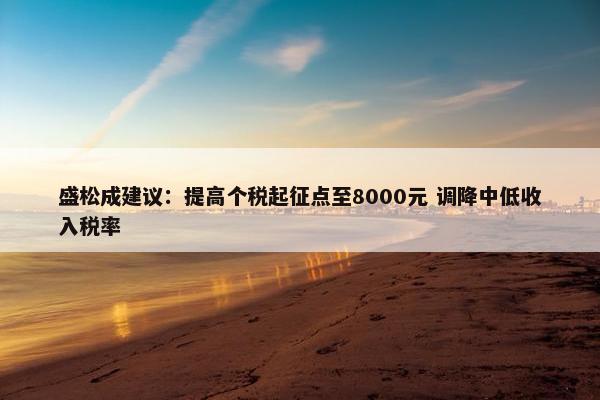 盛松成建议：提高个税起征点至8000元 调降中低收入税率