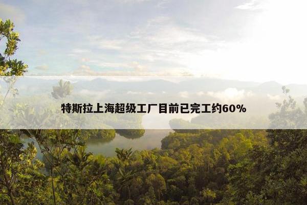 特斯拉上海超级工厂目前已完工约60%