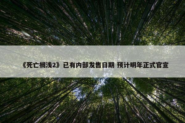 《死亡搁浅2》已有内部发售日期 预计明年正式官宣