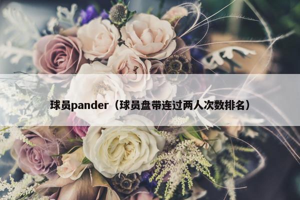 球员pander（球员盘带连过两人次数排名）