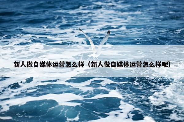 新人做自媒体运营怎么样（新人做自媒体运营怎么样呢）