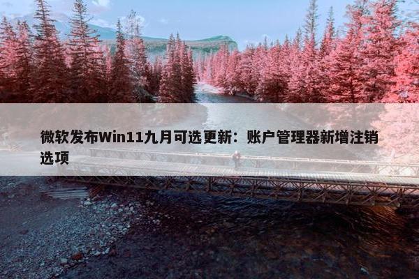 微软发布Win11九月可选更新：账户管理器新增注销选项