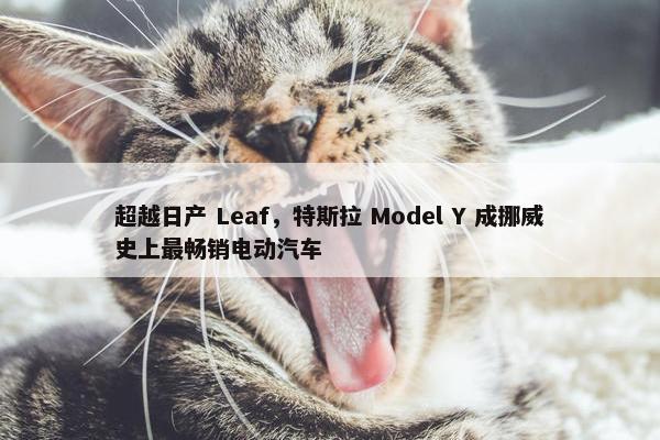 超越日产 Leaf，特斯拉 Model Y 成挪威史上最畅销电动汽车