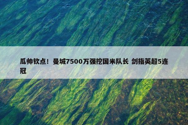 瓜帅钦点！曼城7500万强挖国米队长 剑指英超5连冠