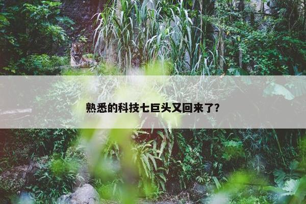 熟悉的科技七巨头又回来了？