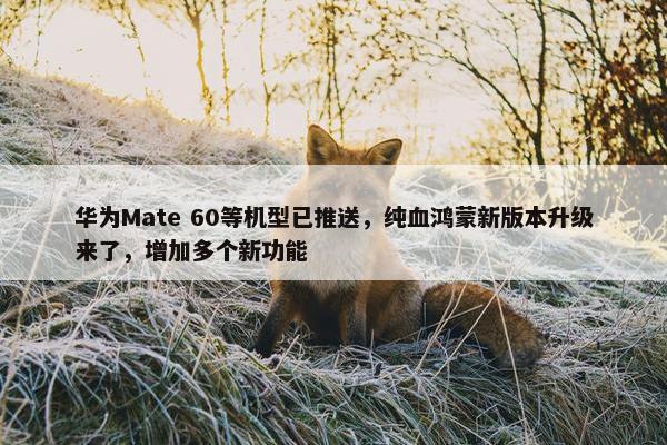 华为Mate 60等机型已推送，纯血鸿蒙新版本升级来了，增加多个新功能