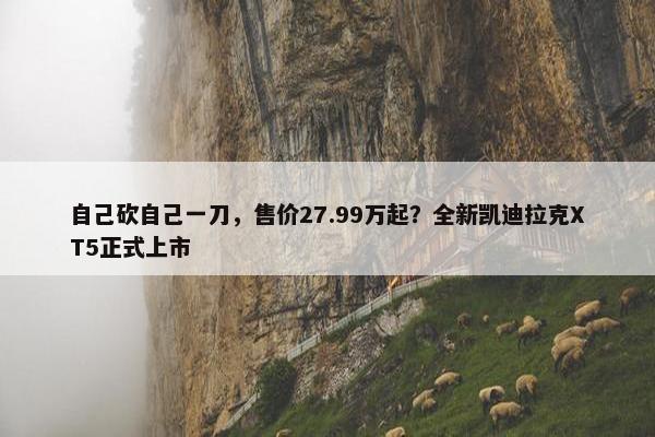 自己砍自己一刀，售价27.99万起？全新凯迪拉克XT5正式上市