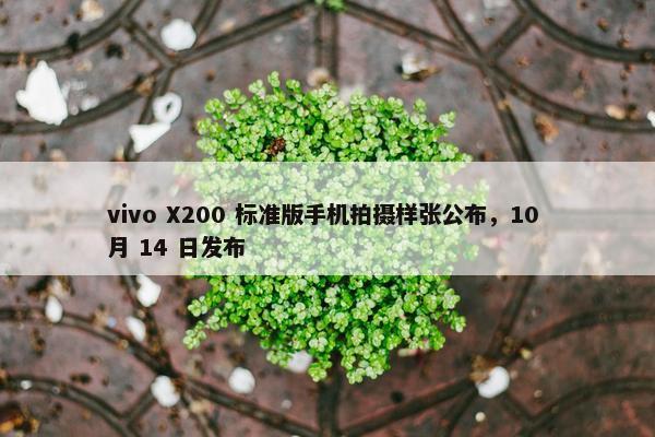 vivo X200 标准版手机拍摄样张公布，10 月 14 日发布