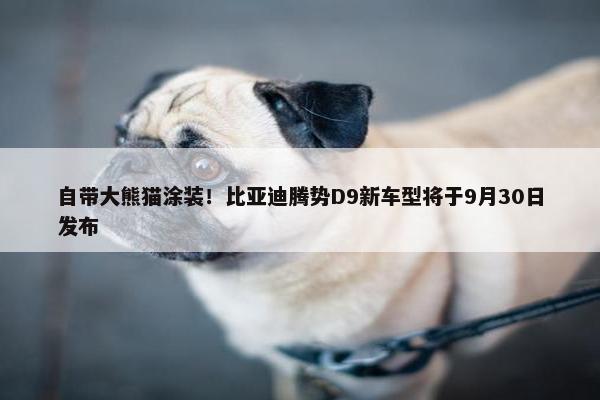 自带大熊猫涂装！比亚迪腾势D9新车型将于9月30日发布