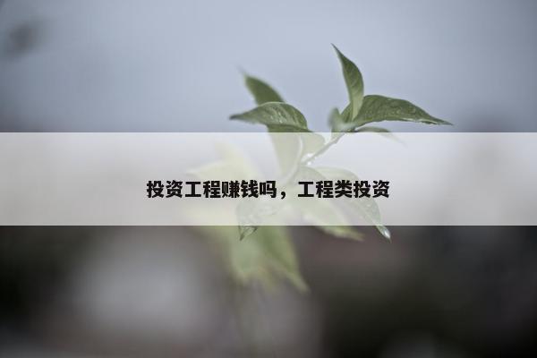 投资工程赚钱吗，工程类投资