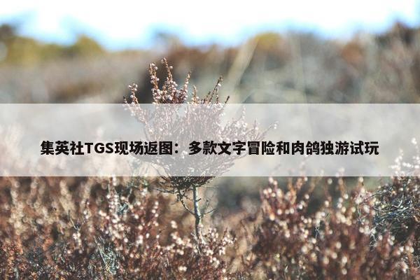 集英社TGS现场返图：多款文字冒险和肉鸽独游试玩