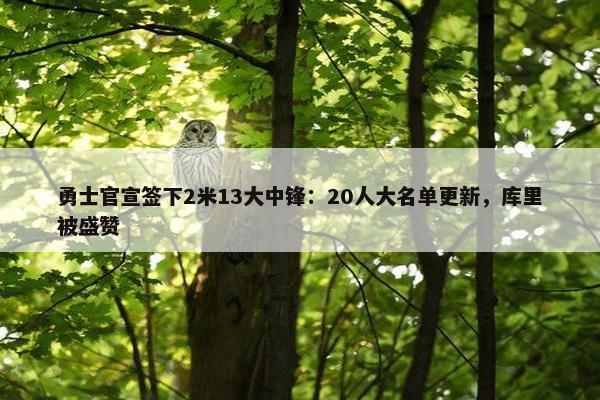 勇士官宣签下2米13大中锋：20人大名单更新，库里被盛赞