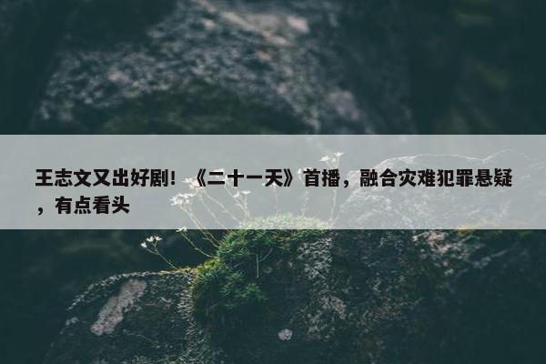 王志文又出好剧！《二十一天》首播，融合灾难犯罪悬疑，有点看头