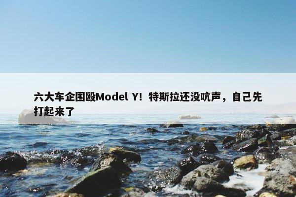 六大车企围殴Model Y！特斯拉还没吭声，自己先打起来了