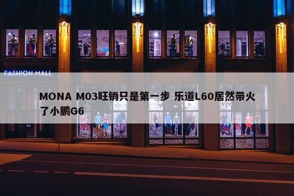 MONA M03旺销只是第一步 乐道L60居然带火了小鹏G6