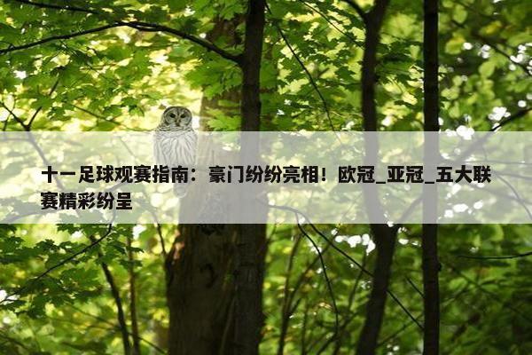 十一足球观赛指南：豪门纷纷亮相！欧冠_亚冠_五大联赛精彩纷呈