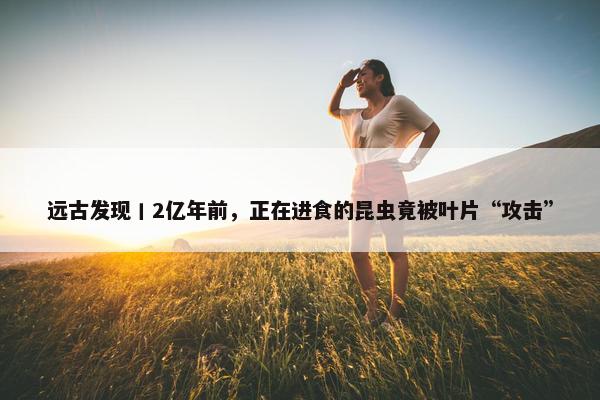 远古发现丨2亿年前，正在进食的昆虫竟被叶片“攻击”