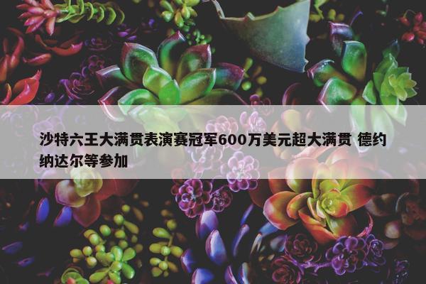 沙特六王大满贯表演赛冠军600万美元超大满贯 德约纳达尔等参加