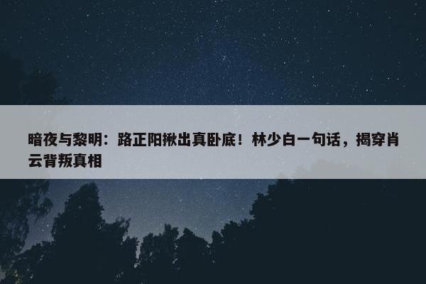 暗夜与黎明：路正阳揪出真卧底！林少白一句话，揭穿肖云背叛真相