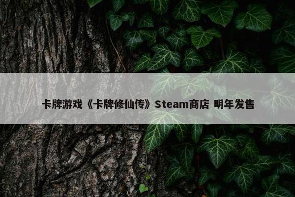 卡牌游戏《卡牌修仙传》Steam商店 明年发售