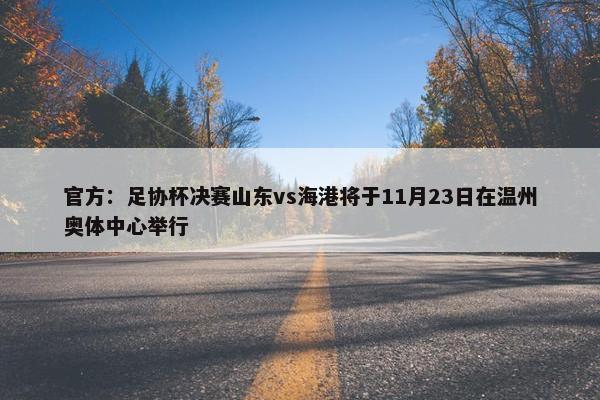 官方：足协杯决赛山东vs海港将于11月23日在温州奥体中心举行