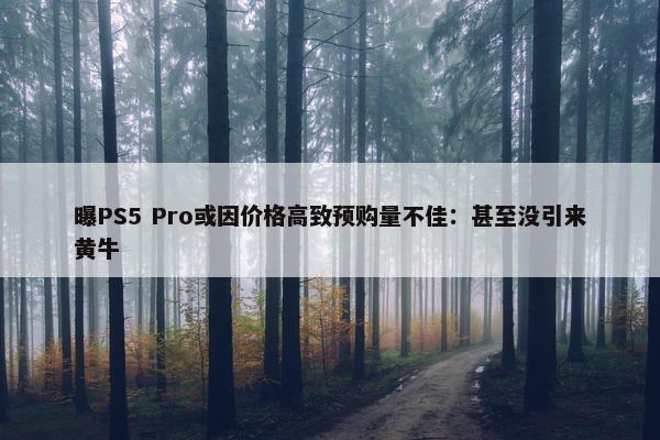 曝PS5 Pro或因价格高致预购量不佳：甚至没引来黄牛