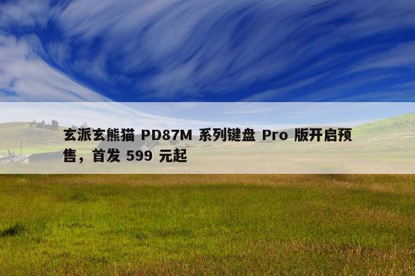 玄派玄熊猫 PD87M 系列键盘 Pro 版开启预售，首发 599 元起