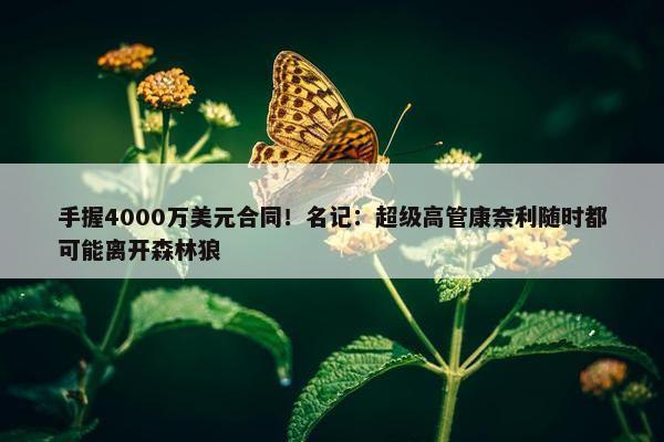 手握4000万美元合同！名记：超级高管康奈利随时都可能离开森林狼