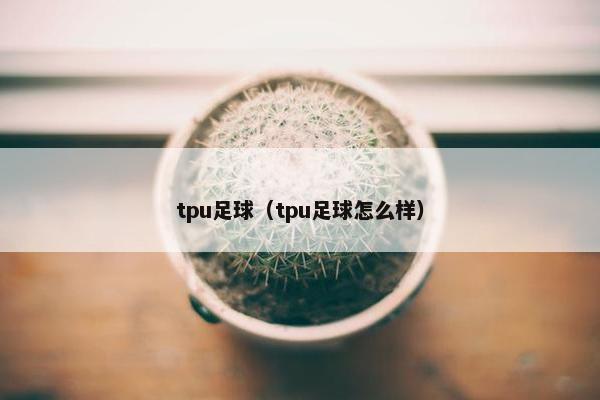 tpu足球（tpu足球怎么样）