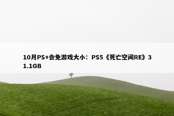 10月PS+会免游戏大小：PS5《死亡空间RE》31.1GB