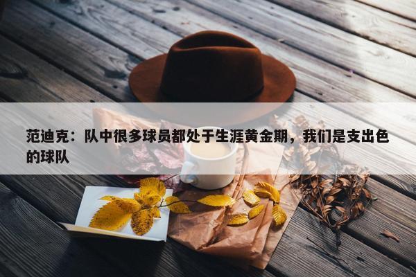 范迪克：队中很多球员都处于生涯黄金期，我们是支出色的球队