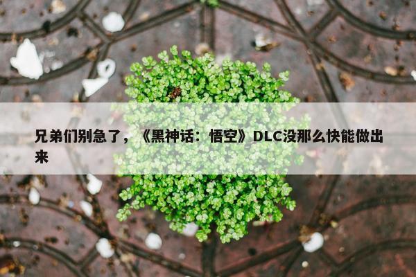 兄弟们别急了，《黑神话：悟空》DLC没那么快能做出来