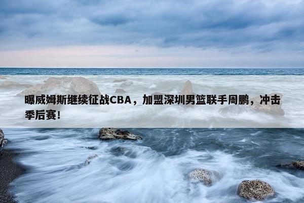 曝威姆斯继续征战CBA，加盟深圳男篮联手周鹏，冲击季后赛！