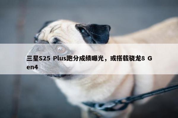 三星S25 Plus跑分成绩曝光，或搭载骁龙8 Gen4