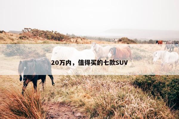 20万内，值得买的七款SUV