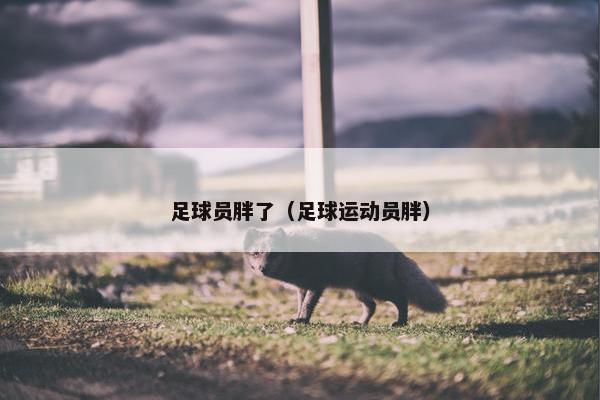 足球员胖了（足球运动员胖）