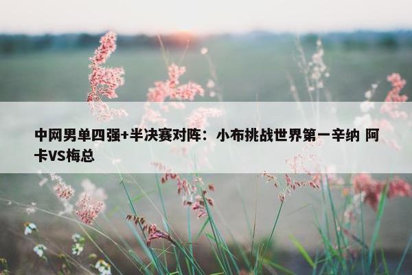 中网男单四强+半决赛对阵：小布挑战世界第一辛纳 阿卡VS梅总