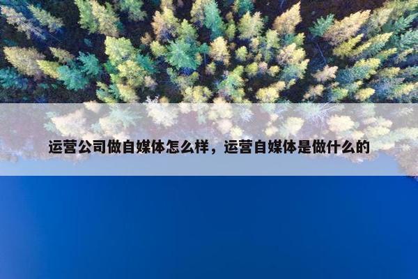 运营公司做自媒体怎么样，运营自媒体是做什么的