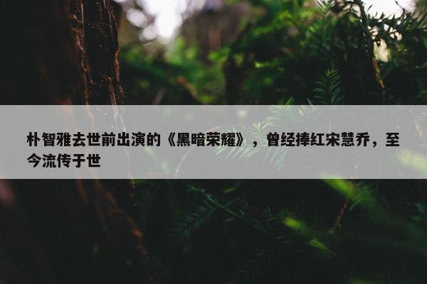 朴智雅去世前出演的《黑暗荣耀》，曾经捧红宋慧乔，至今流传于世