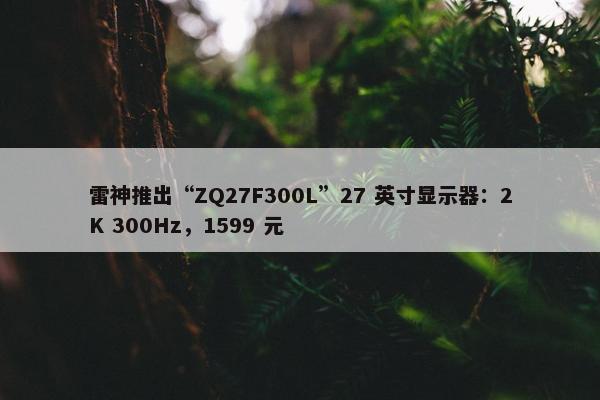 雷神推出“ZQ27F300L”27 英寸显示器：2K 300Hz，1599 元