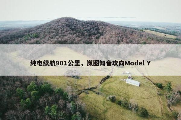 纯电续航901公里，岚图知音攻向Model Y