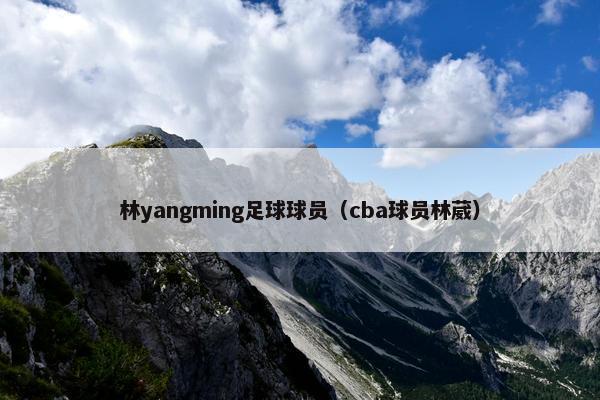 林yangming足球球员（cba球员林葳）