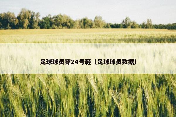 足球球员穿24号鞋（足球球员数据）