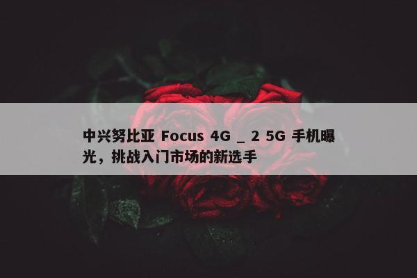 中兴努比亚 Focus 4G _ 2 5G 手机曝光，挑战入门市场的新选手