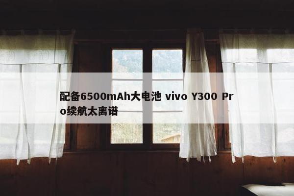 配备6500mAh大电池 vivo Y300 Pro续航太离谱