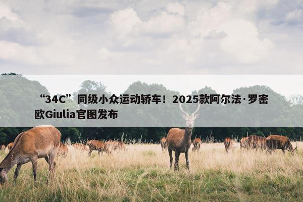 “34C”同级小众运动轿车！2025款阿尔法·罗密欧Giulia官图发布