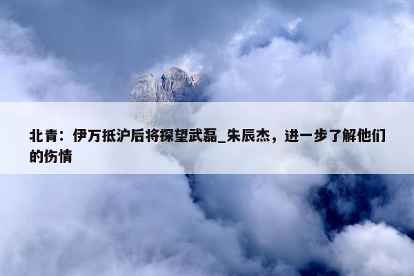 北青：伊万抵沪后将探望武磊_朱辰杰，进一步了解他们的伤情