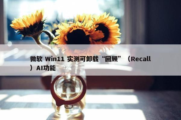 微软 Win11 实测可卸载“回顾”（Recall）AI功能